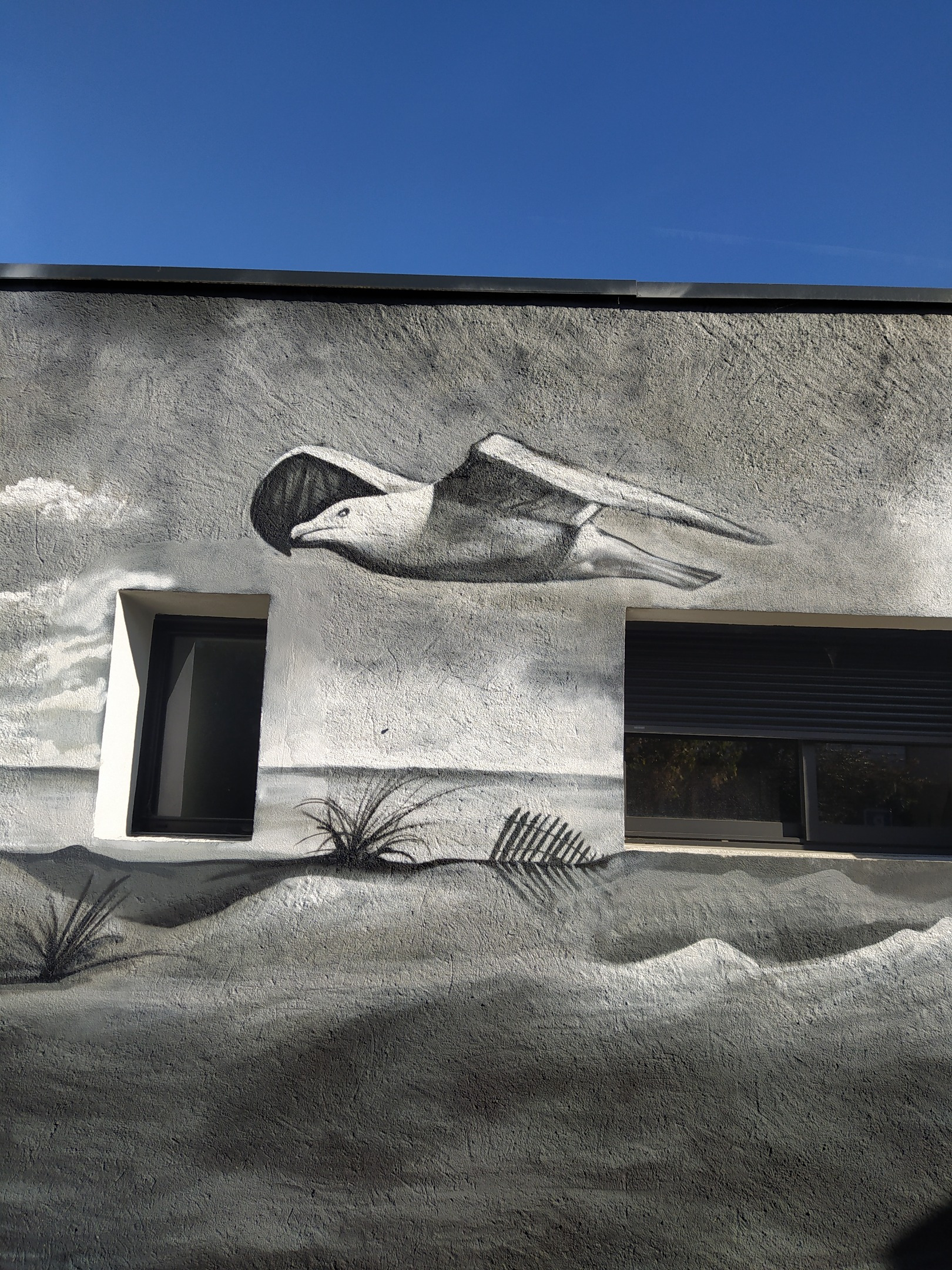 Graff / Muralisme #046